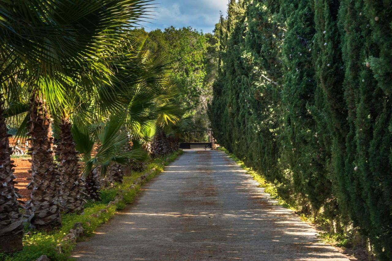 Villa Can Fita Puig D'en Valls Екстер'єр фото