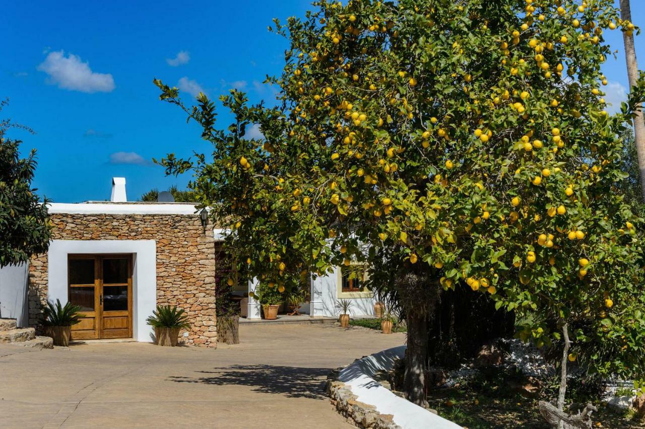 Villa Can Fita Puig D'en Valls Екстер'єр фото